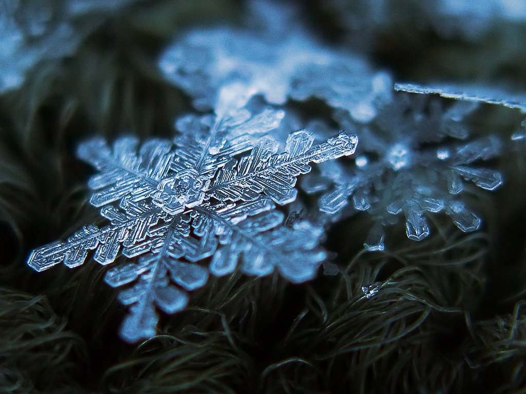 snowflakes-are-not-as-unique-as-we-thought-the-science-explorer