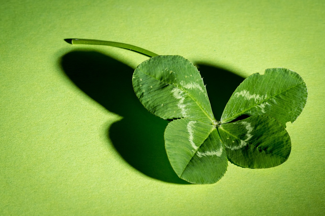 Increase luck in 4-leaf clover search