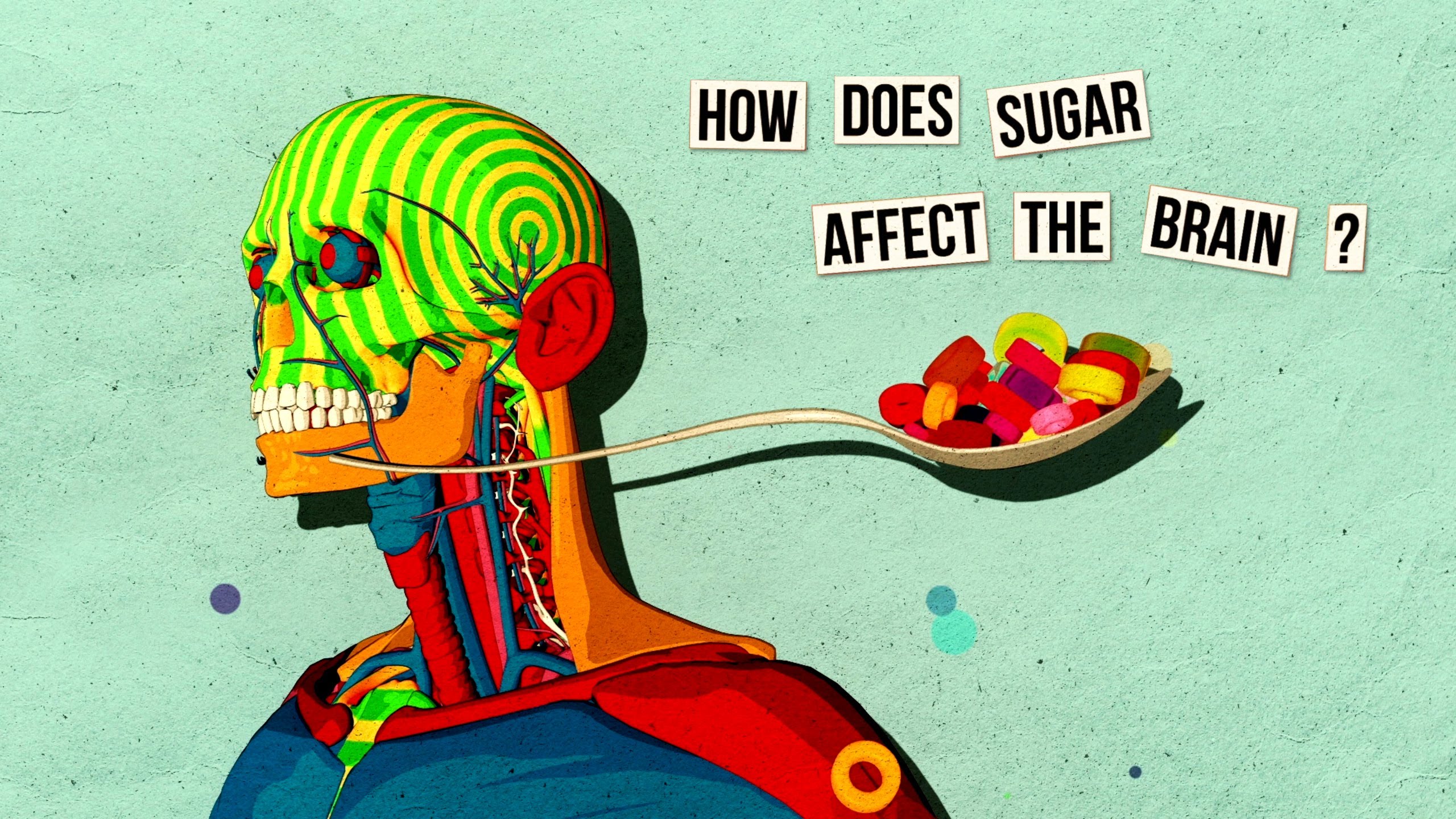 WATCH: How Sugar Affects The Brain | The Science Explorer