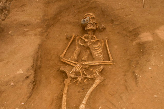 Philistine skeleton excavated from the Philistine City of Ashkelon