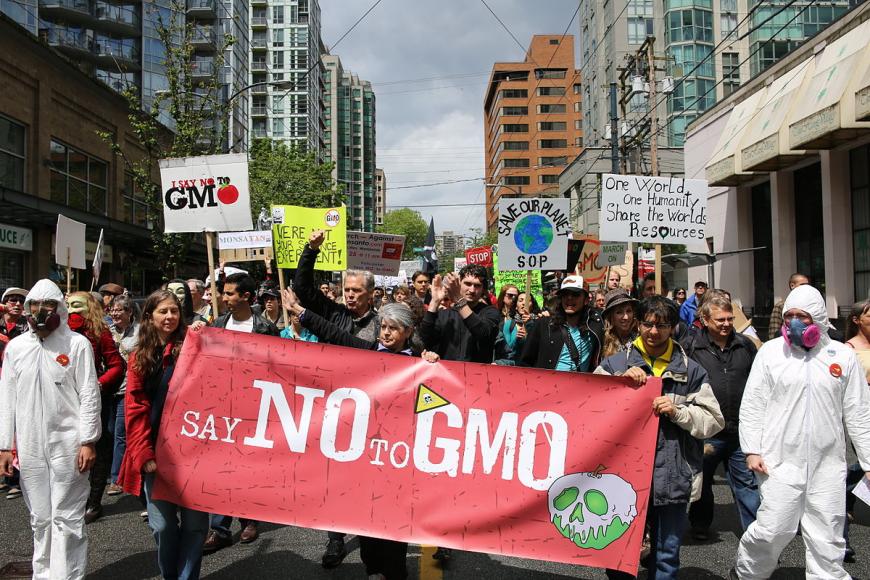 March Against Monsanto, Vancouver, Canada; May 25, 2013