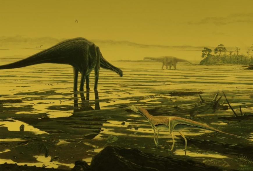Artist&#039;s impression of Mid-Jurassic sauropods wading in a lagoon