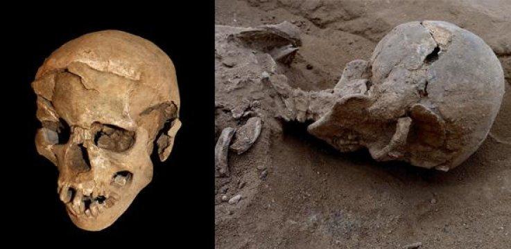 Photos of ancient skulls that had been bashed in violently.
