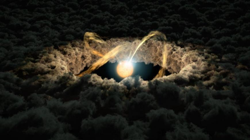 Star surrounded by a protoplanetary disk