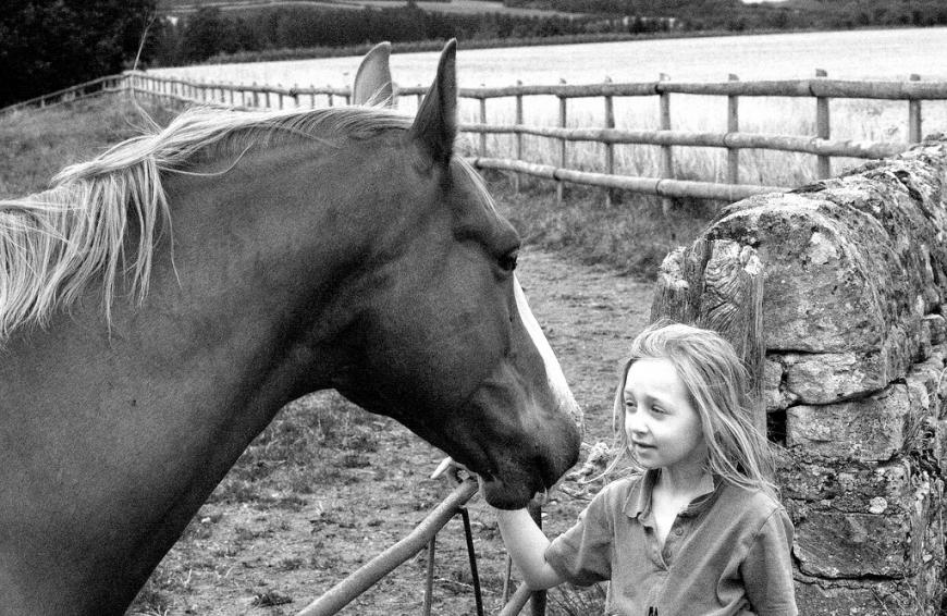 Horse and child