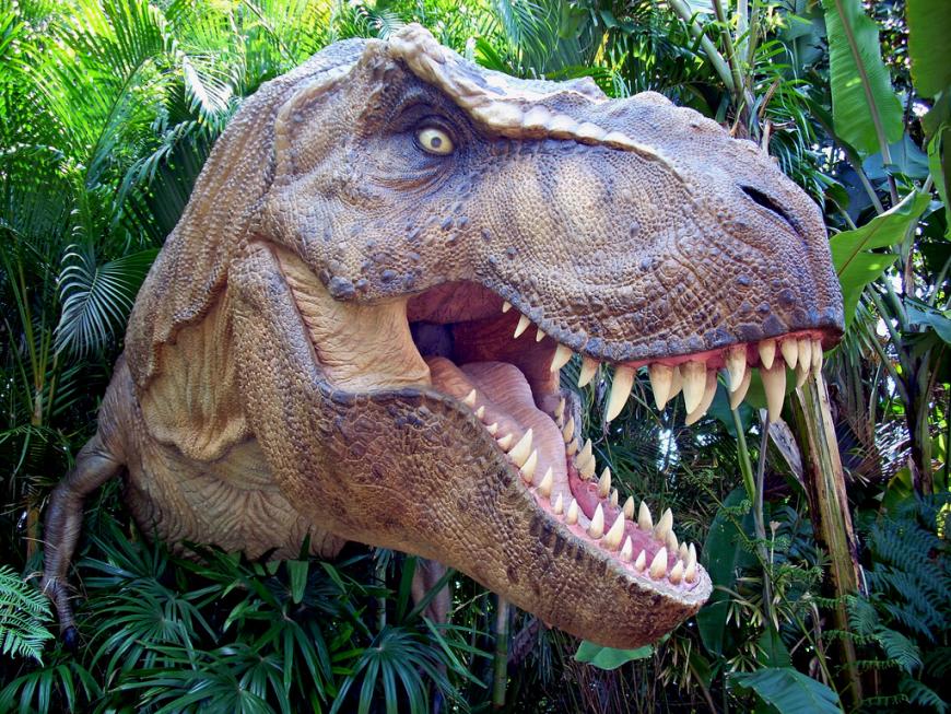 Tyrannosaurus Rex (T. Rex)