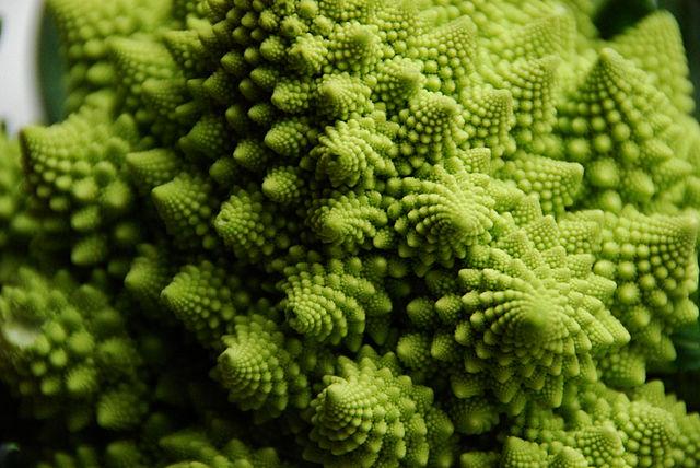 Close-up of a Romanesco broccoli