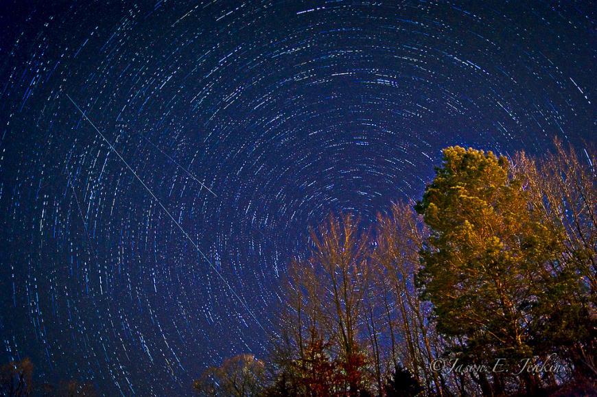 Long exposure photo of stars above a treeline.