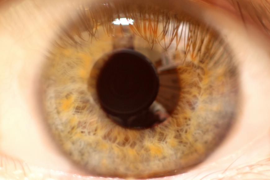 Close-up of a human eye. Pupil and iris