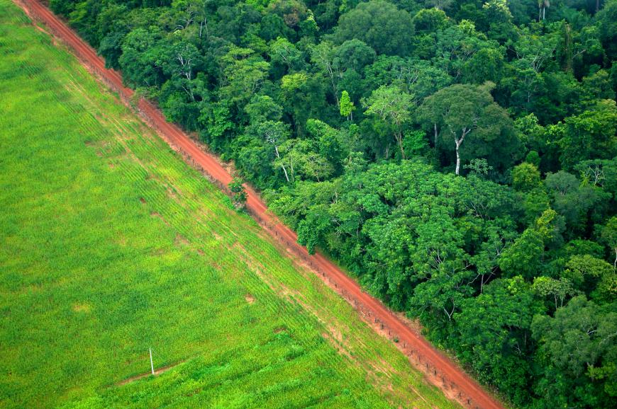 Aerial photo of deforestation in Brazil