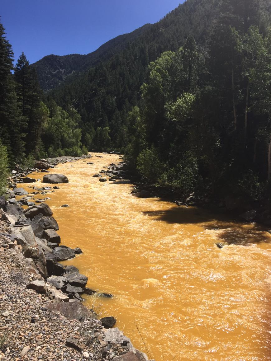 Animas river following the Gold King mine leak