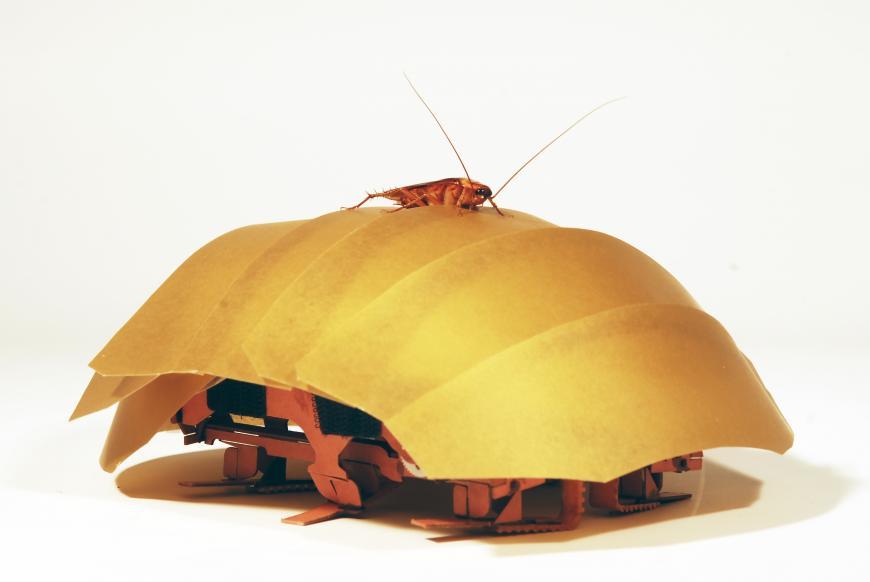 Cramroach, the robotic cockroach