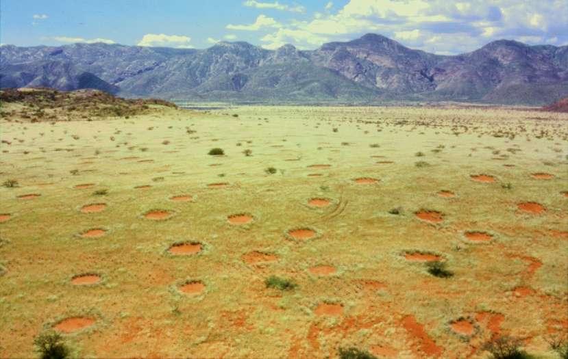 Fairy circles in Marienfluss in Namibia