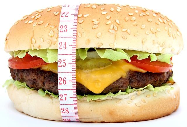 Burger. CREDIT: Meditations / Pixabay (CC0)