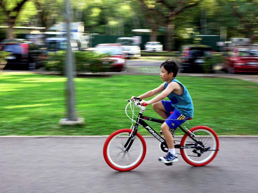 Young boy on a bicycle. Kid riding a bike.