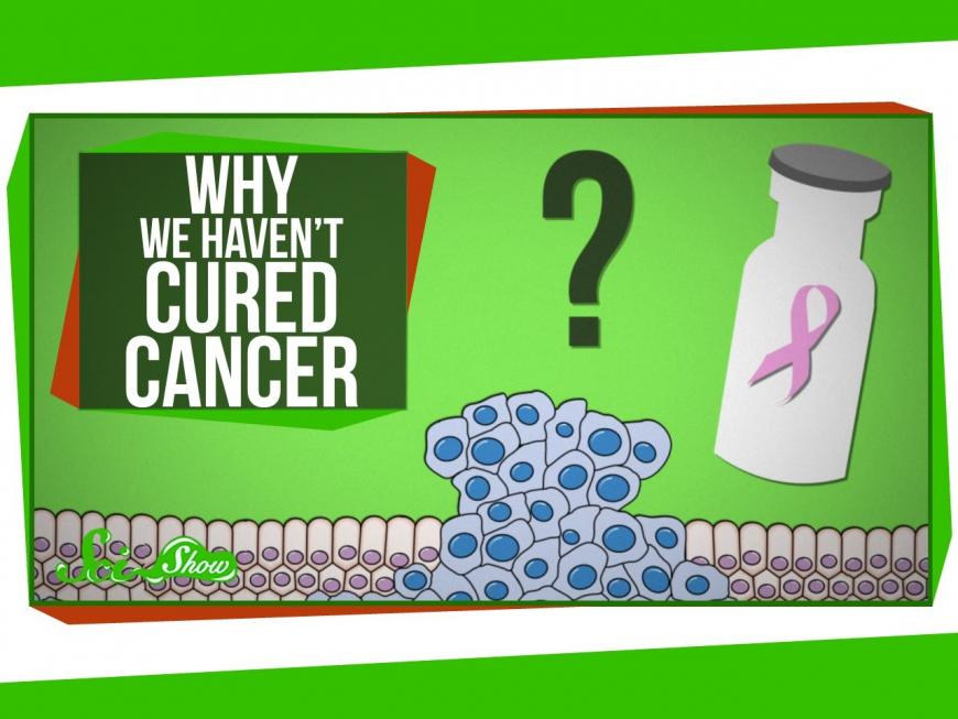 Why Haven&#039;t We Cured Cancer?