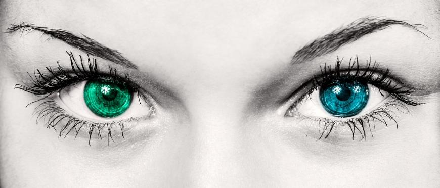 Close-up of two different colored eyes.