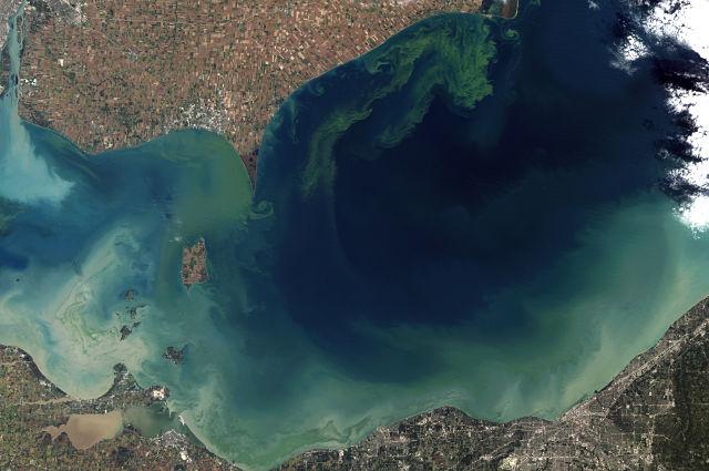 Lake Eerie toxic algae bloom
