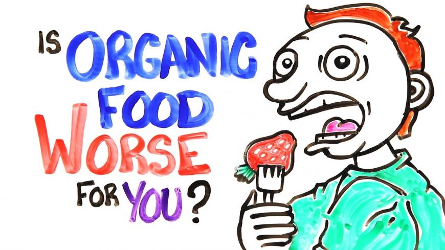 organic food 