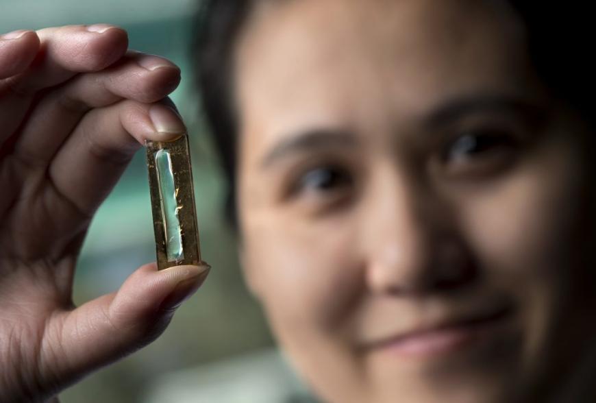 UCI chemist Reginald Penner and doctoral candidate Mya Le Thai (shown) have developed a nanowire-based technology that allows lithium-ion batteries to be recharged hundreds of thousands of times. 