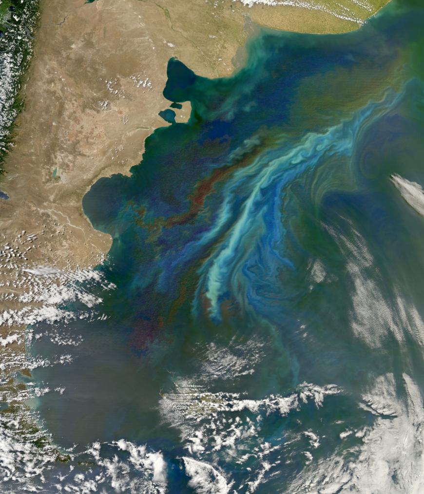 Phytoplankton bloom off the coast of Argentina