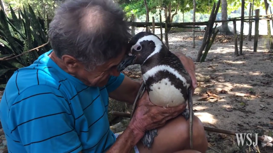 de Souza holding Dindim the penguin