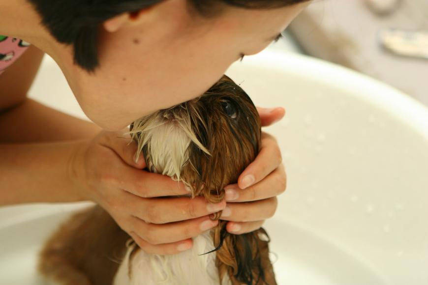 Pet owner kissing her dog. Dog bath.
