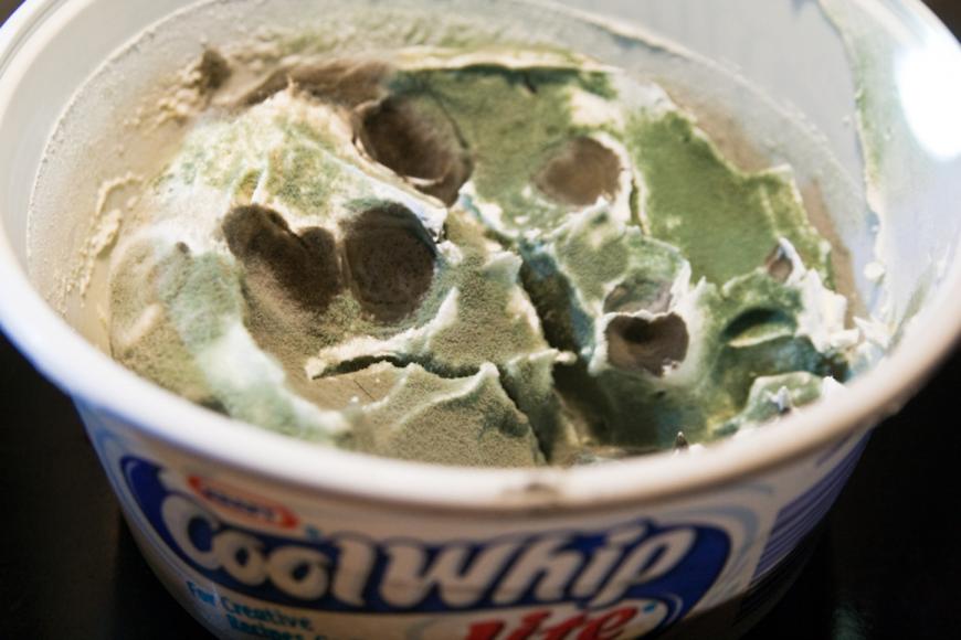 Mouldy Cool Whip, expired food