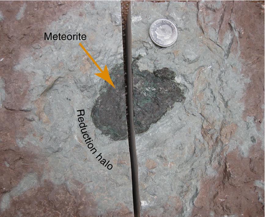 The Österplana 065 fossil meteorite