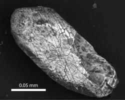 A Zircon Crystal from the Sudbury Crater