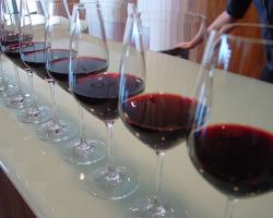 A row of glasses containing red wine.
