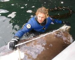 Reid Brewer measuring a whale carcass in Alaska