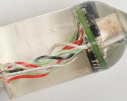 Ingestible sensor can monitor heart and breathing rates from within the gut