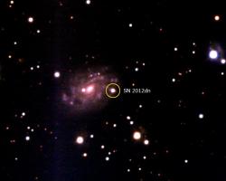 Supernova SN 2012dn