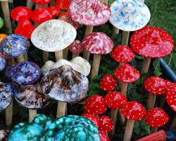 Ornamental mushrooms in a garden