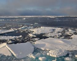 arctic ice