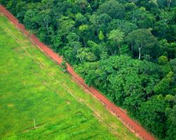 Aerial photo of deforestation in Brazil