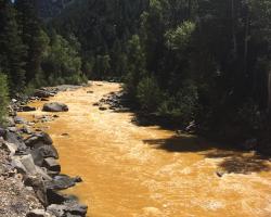 Animas river following the Gold King mine leak