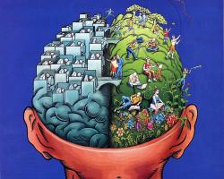 Illustration of left brain and right brain