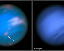 Dark Spot on Neptune, dark vortex