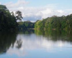 Ancient human disturbances may skewer our understanding of Amazon Basin