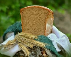 Wheat and a loaf of bread. Grains