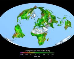 Change in leaf area across the globe. Satellite imagery