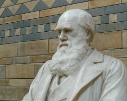 A white bust sculpture of Charles Darwin