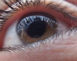 Human eye, close up