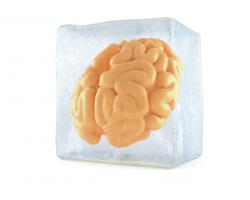 Brain frozen in an ice cube
