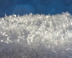 Ice crystals, frost