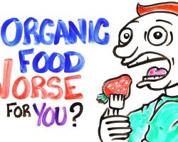 organic food 