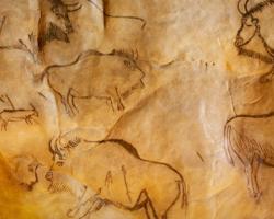 Black painting of bison (putative European bison, or wisent) at Grotte de Niaux (Niaux cave in Ariège, France), dated to the Magdalenian period (~17,000 years ago).