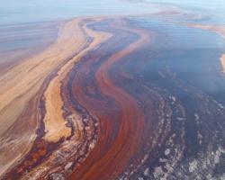 surface oil slick from the Deepwater Horizon oil spill